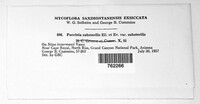 Puccinia substerilis image